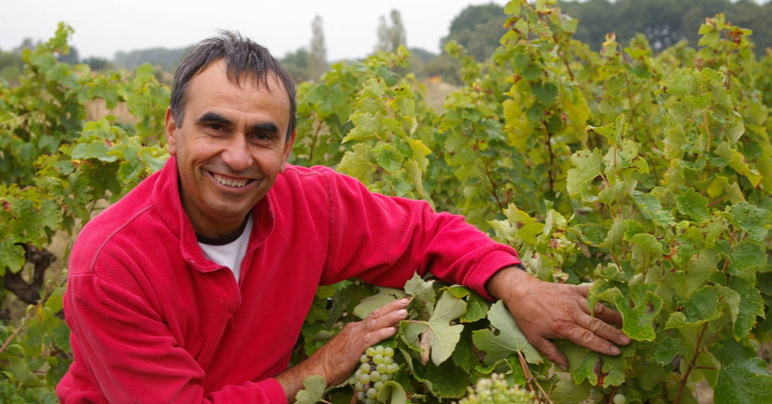 ドメーヌ・ド・ラ・セネシャリエール｜自然派白ワインの革新者