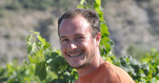 グレゴリー・ギョーム|馬とともに生きる自然派ワインの造り手