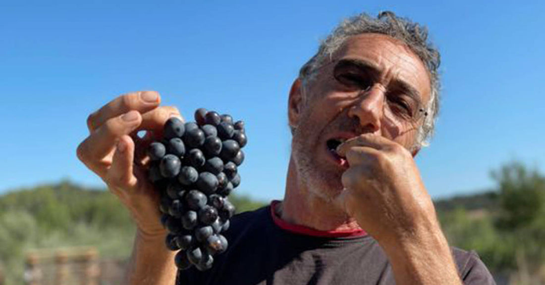 マルキーズ・デ・ミュール ｜ヤギと娘とブラックベリー